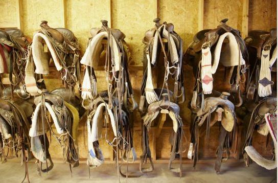 Rancho De Los Caballeros Wickenburg Ngoại thất bức ảnh