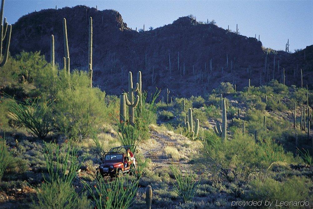 Rancho De Los Caballeros Wickenburg Ngoại thất bức ảnh