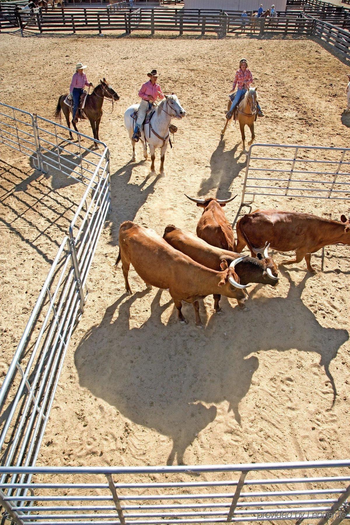 Rancho De Los Caballeros Wickenburg Ngoại thất bức ảnh