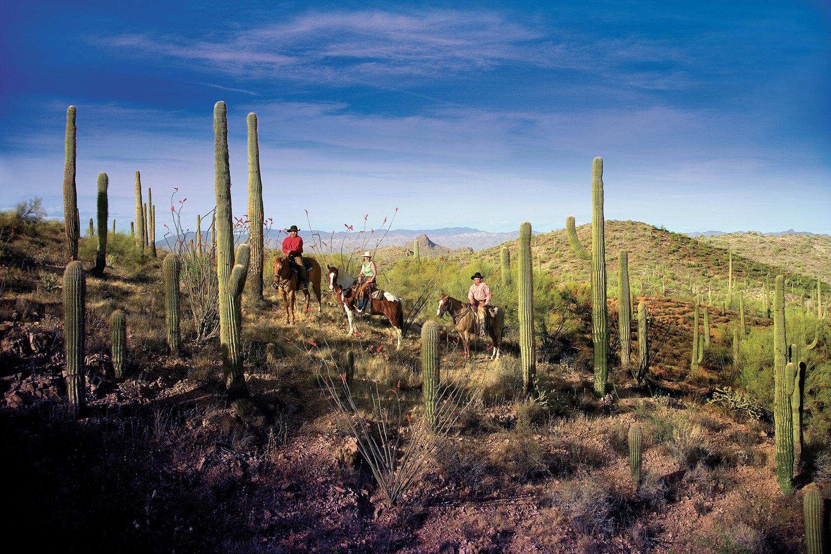 Rancho De Los Caballeros Wickenburg Ngoại thất bức ảnh
